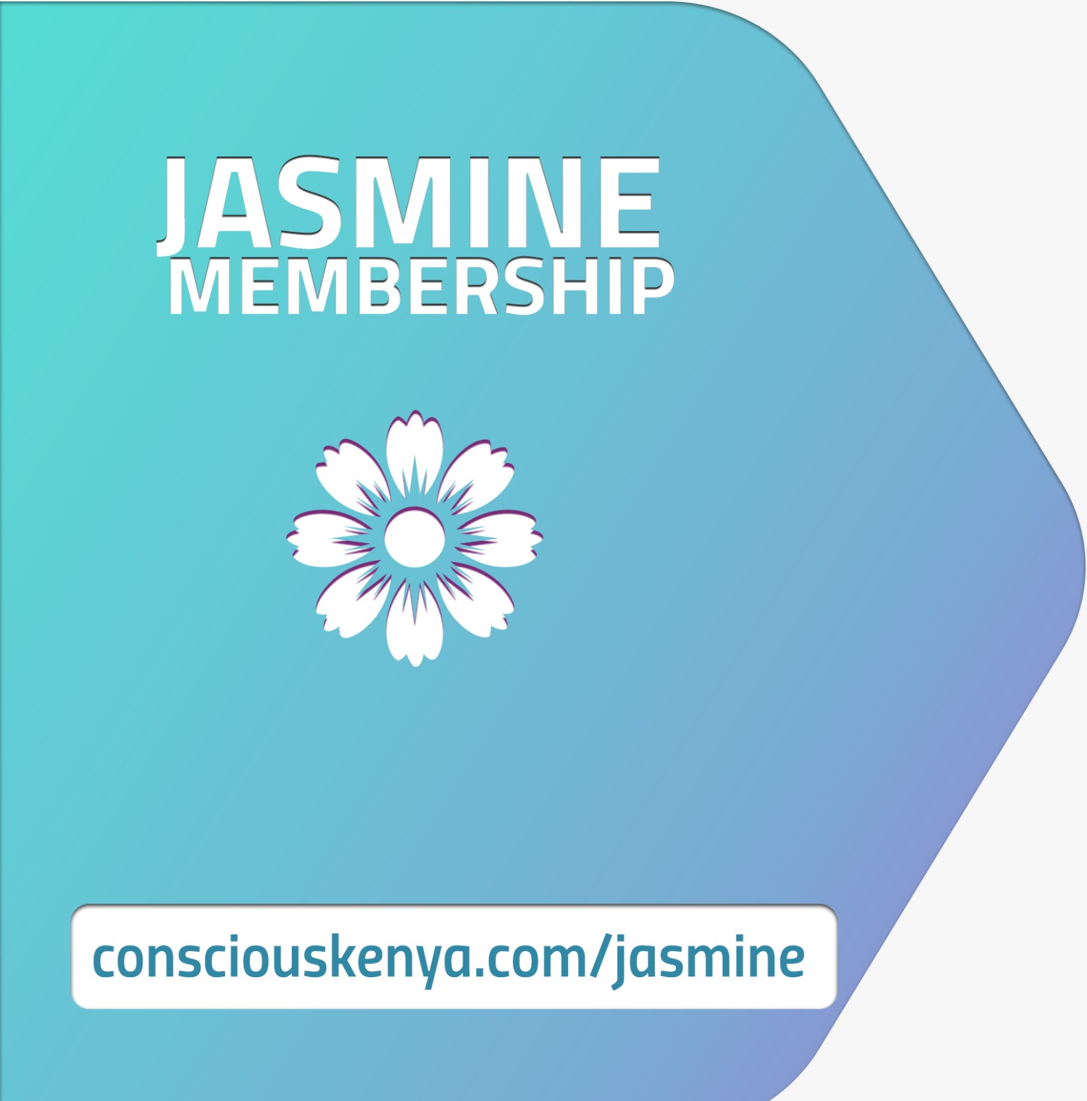 Jasmine Practitioner Membership