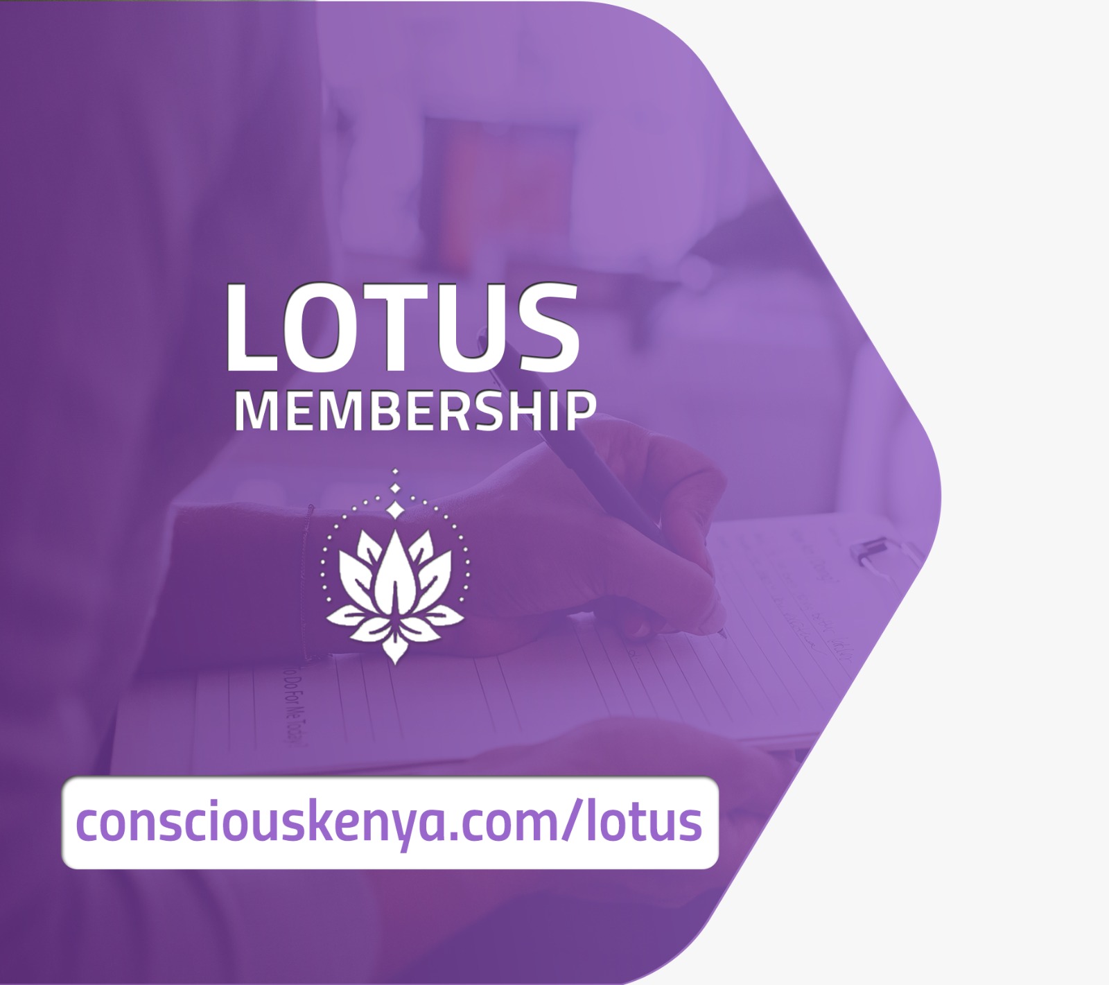 Lotus Practitioner Membership