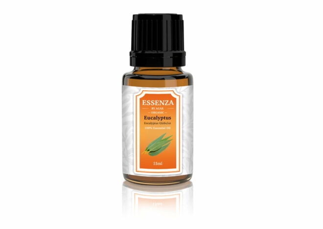 eucalyptus essential oil best quality kenya