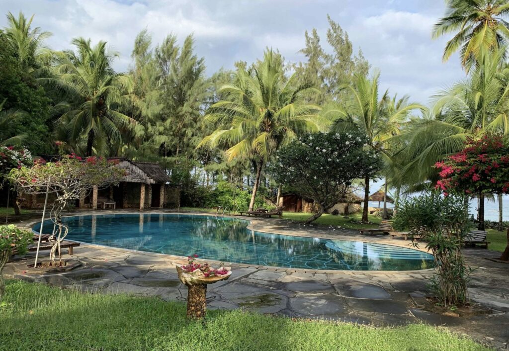 mombasa swimming pool palm trees