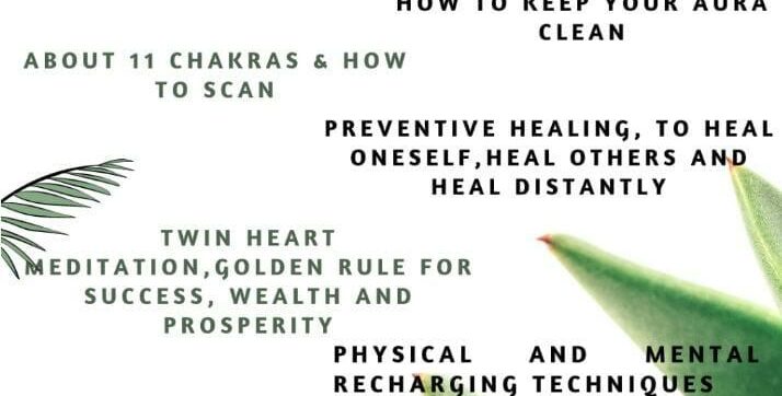 basic pranic healing workshop