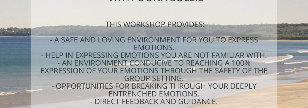 The Brilliance of your feelings oona soleil fergussen