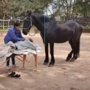 Profile photo of Alternative Healing