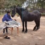 Profile photo of Alternative Healing