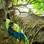 Group logo of Nairobi Tree Planting Movement